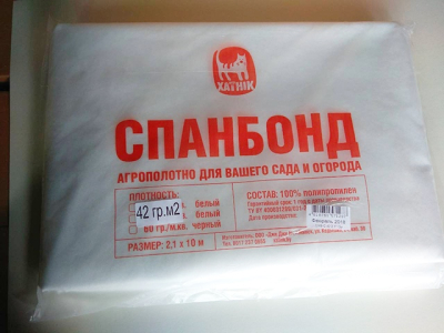 9752383.jpg