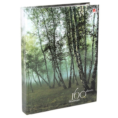 Блокнот-престиж "Природа", ф. А6, 160 л.